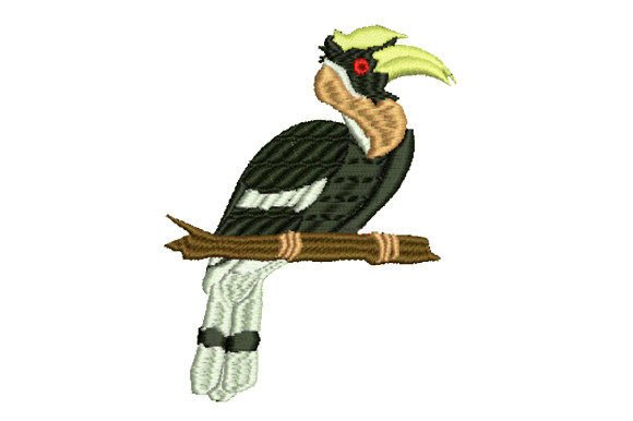 Hornbill Perched on a Branch Review