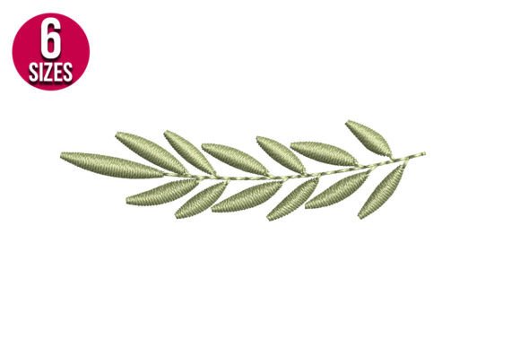 Olive Leaves Border Review