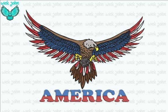 White Collared Eagle America Review